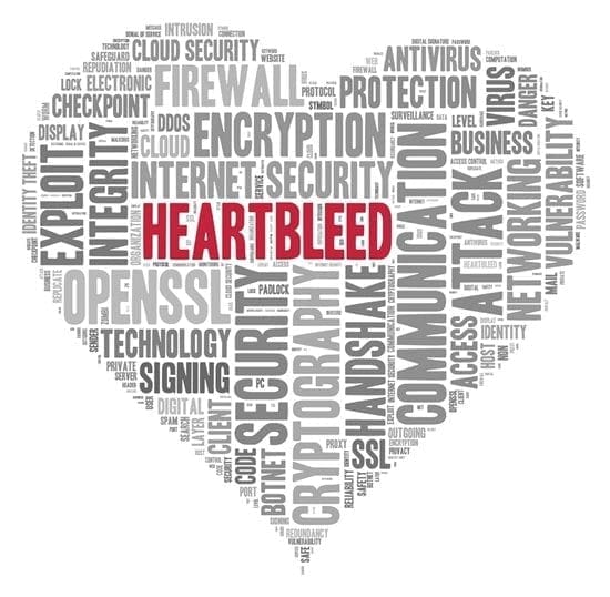 Security takeaways from the Heartbleed bug incident